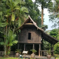 Forest Research Institute Malaysia (FRIM) - Selangor