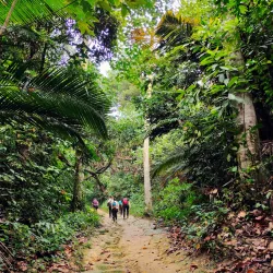 Bukit Lagong Forest Reserve - Sentul