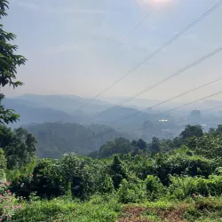 Bukit Lagong Forest Reserve - Sentul