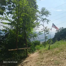 Bukit Lagong Forest Reserve - Sentul
