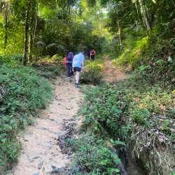 Bukit Lagong Forest Reserve - Sentul
