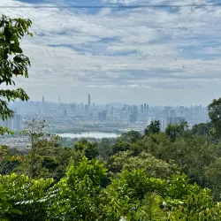 Bukit Lagong Forest Reserve - Sentul
