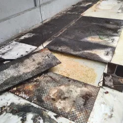 Sentul East - Sentul