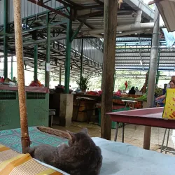 Sentul Market - Sentul