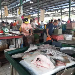 Sentul Market - Sentul