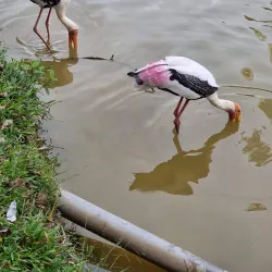 Taman Rekreasi Bukit Jalil - Sentul