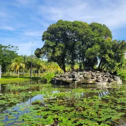 Titiwangsa Lake Gardens - Sentul