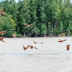 Kuala Sepetang Fishing Village - Sepang