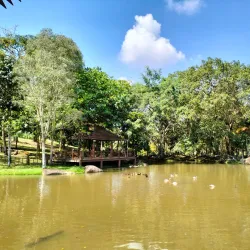 Putrajaya Wetlands Park - Sepang