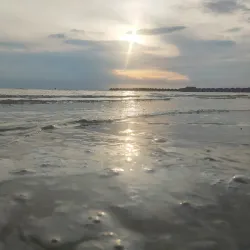 Sepang Gold Coast - Sepang