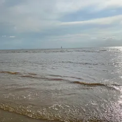 Sepang Gold Coast - Sepang