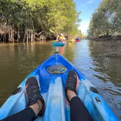 Sungai Sepang Mangrove Forest - Sepang