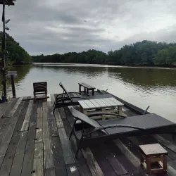 Sungai Sepang Mangrove Forest - Sepang