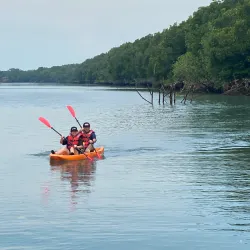 Sungai Sepang Mangrove Forest - Sepang