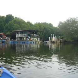 Sungai Sepang Mangrove Forest - Sepang