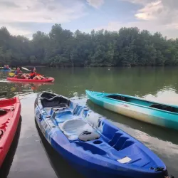 Sungai Sepang Mangrove Forest - Sepang