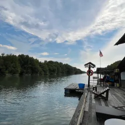Sungai Sepang Mangrove Forest - Sepang