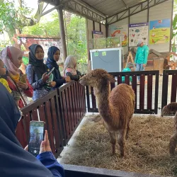 Farm In The City - Serdang