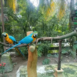 Farm In The City - Serdang