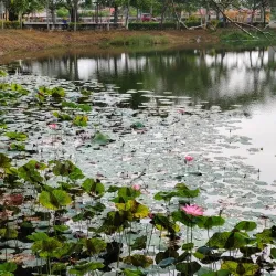 Serdang Lake Garden - Serdang