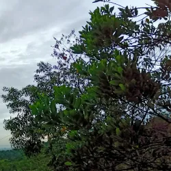 Nearby Nature Trails and Hiking Spots - Seri Iskandar