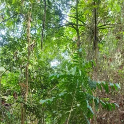 Nearby Nature Trails and Hiking Spots - Seri Iskandar