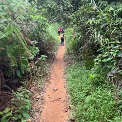 Nearby Nature Trails and Hiking Spots - Seri Iskandar