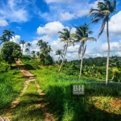 Seri Iskandar Recreational Park - Seri Iskandar