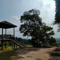 Seri Iskandar Recreational Park - Seri Iskandar