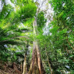 Setia Alam Community Park - Setia Alam