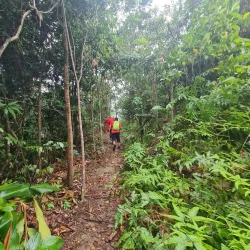 Setia Alam Community Park - Setia Alam