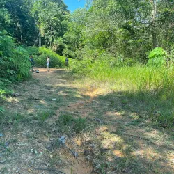 Setia Alam Community Park - Setia Alam