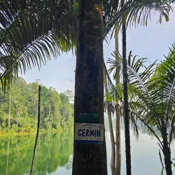 Setia Alam Recreational Lake - Setia Alam