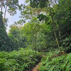 Setia Alam Recreational Lake - Setia Alam