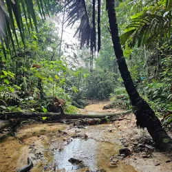 Setia Alam Recreational Lake - Setia Alam