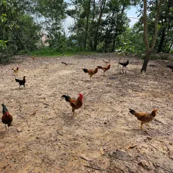 Setia Alam Recreational Lake - Setia Alam