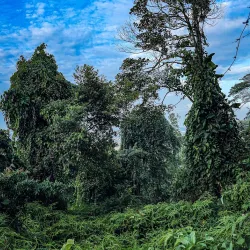 Setia Alam Recreational Lake - Setia Alam