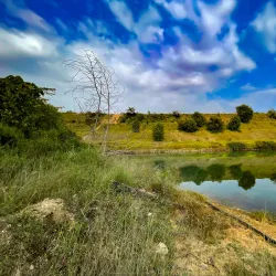 Setia Alam Recreational Lake - Setia Alam