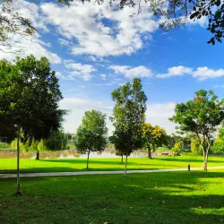 Setia Alam Wetlands - Setia Alam