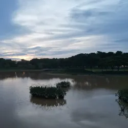 Setia Alam Wetlands - Setia Alam