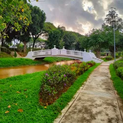 Setia Alam Wetlands - Setia Alam