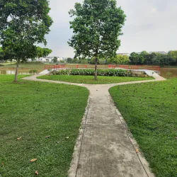 Setia Alam Wetlands - Setia Alam