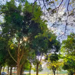 Setia Alam Wetlands - Setia Alam