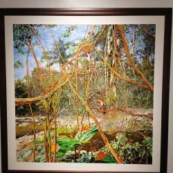 Shah Alam Gallery - Shah Alam