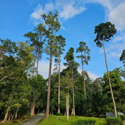 Taman Botani Negara Shah Alam (Shah Alam National Botanical Park) - Shah Alam