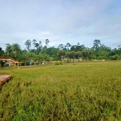 Taman Botani Negara Shah Alam (Shah Alam National Botanical Park) - Shah Alam
