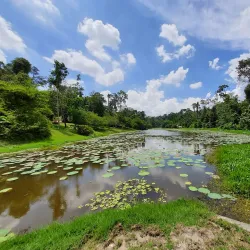 Taman Botani Negara Shah Alam (Shah Alam National Botanical Park) - Shah Alam