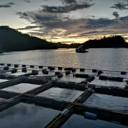 Batang Ai Dam - Simanggang (Sri Aman)