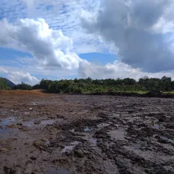 Batang Lupar River - Simanggang (Sri Aman)