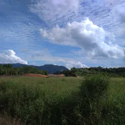 Batang Lupar River - Simanggang (Sri Aman)